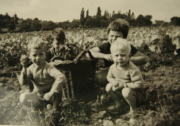 1950 - enfants Falisse.jpg